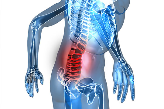 3d diagram showcasing lower back pain spot
